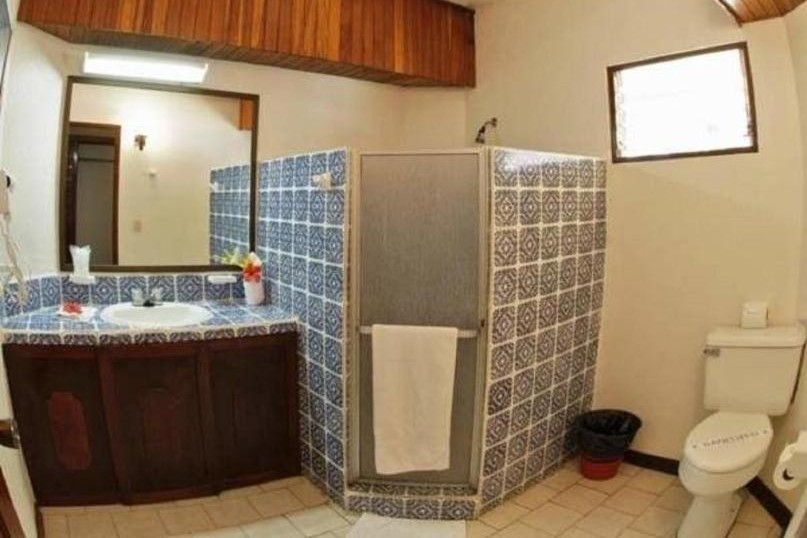 standard family room bathroom